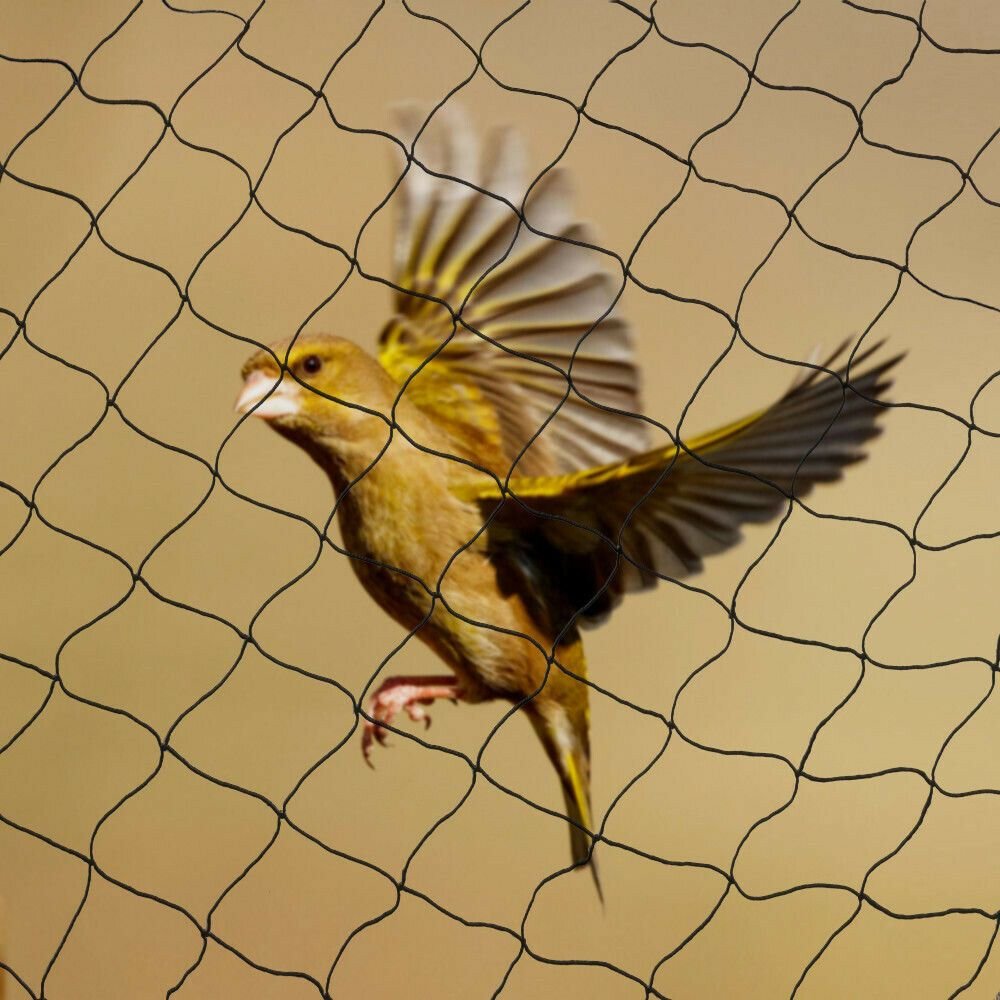 Bird Net Installation Coimbatore